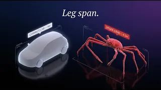 Why Do Large Creatures Live Underwater?