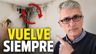 ✅ No limpies el MOHO de tus paredes sin ver esto: El error que lo empeora