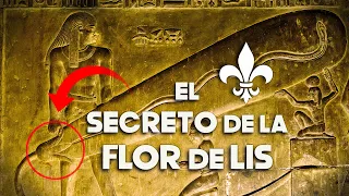 Flor de Lis: Simbolismo y Significado Oculto (No es IA)