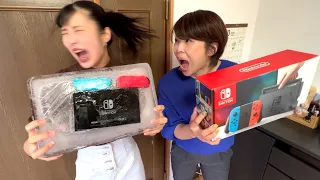妹のスイッチ冷凍庫に24時間入れて凍らせてみた