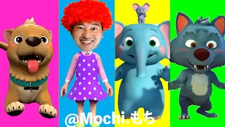 Mochi Family Best  Funny video 😂😂😂