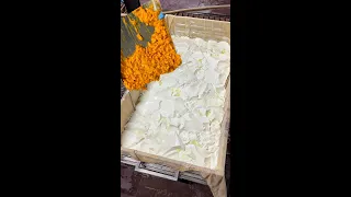 Milk Dessert of India 😱😱 साफ सफाई देखकर चौक जाएंगे आप 😳😳