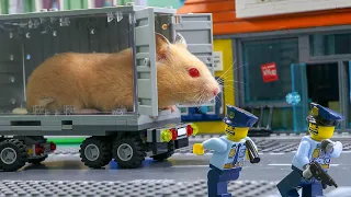 Hamster A-MAZE-ING LEGO Obstacle Course | LEGO Land | Lego Stop Motion