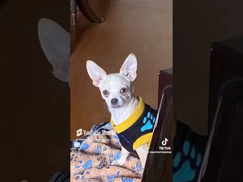 ASÍ SE RÍE LA A JAJAJAJA