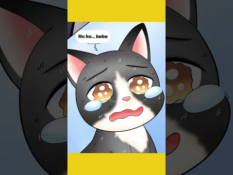 Câu Chuyện Về Chú Mèo Lơ Xe