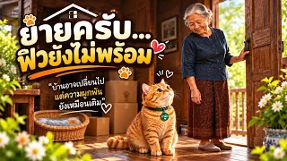 บ้านใหม่ของกาฟิวและยาย | แมวซีรี่ย์