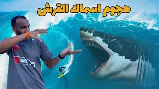 اخطر حوادث سمكة القرش على مر العصور 🤯  #MoDrar