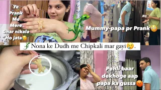 OMG😥Ye*PRANK*|Papa Sab pr chilla pde😨|Me dar gayi😭|Nona ko Hospital leke Chalo😡|Successful🚨‼️🦎