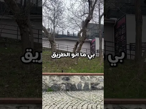 ولد عاق !!
