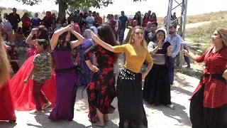 SAFRANBOLU GÜMÜŞ KÜRT MAHALESİ EĞLENCELİ DÜĞÜN WEDDİNG DANCE