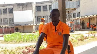 Behind Bars: Wicklove anotsangura mhosva yekuuraya yaakapara