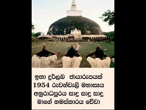 29 June 2026