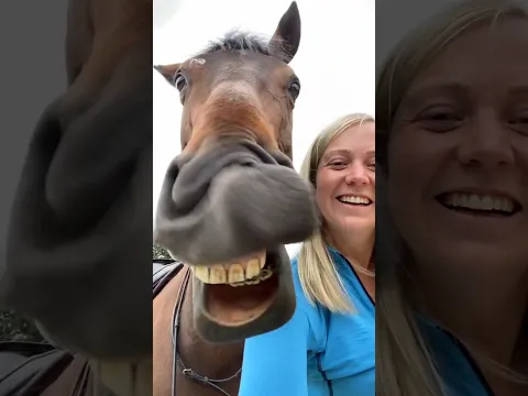 Things Horses won’t tell you 🐴🤫