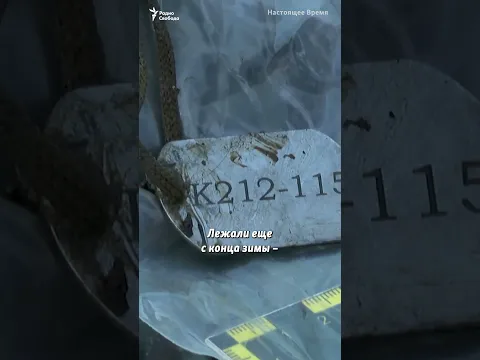 "Целая машина убитых российских солдат"  #shorts