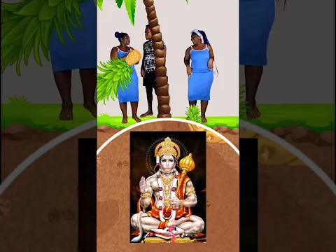 Pinapple🍍 Bara Ho Gaya🐃 #shorts #youtubeshorts #shortsvideo #ytshorts #viral_shorts #trending