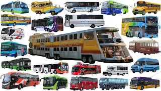The Big Bus, School bus, Police bus, City Bus | Bus name collection - Learning Vehicle Types of Bus