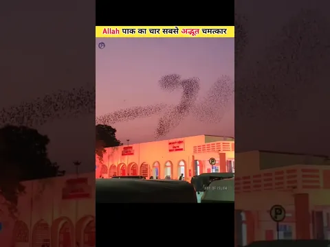 😱 Allah पाक का चार सबसे अद्भूत चमत्कार 😯/#ytshorts #youtubeshorts #shorts #islam