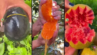 أجمل وأغرب فاكهة ستراها في حياتك 🥭 🍈 سبحان الله 😍