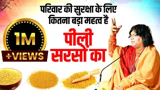 परिवार की सुरक्षा के लिए कितना बड़ा महत्व है | पीली सरसों का | Acharya Shri Kaushik Ji Maharaj