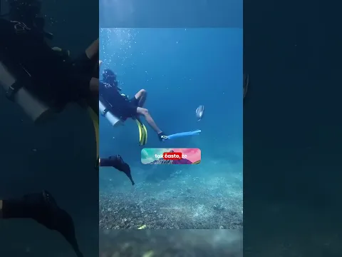 Tahle Ryba Je Gangster Oceánu🎣🌊