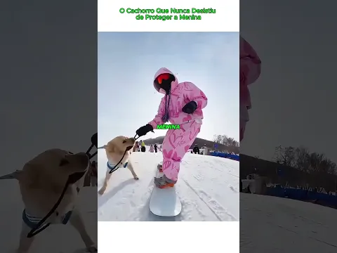 O Cachorro Que Nunca Desistiu de Proteger a Menina#viral #shorts