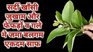 एक ही खुराक में खाँसी सर्दी जुखाम और फेफड़ो व गले में जमा बलगम कफ़ एकदम साफ़ बिना दवाई के Cold Cough