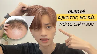 Share & Shine - Rụng tóc, hói đầu cũng chỉ vì dầu xả. Bạn đã sử dụng đúng cách?