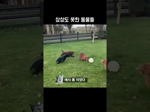 상상도 못한 동물들