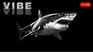 VIBE STYLE is live! Fish 🐟 Cutting