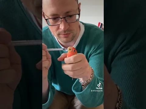 Paquito luchando contra su enfermedad, mejora poco a poco!