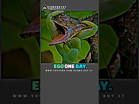 Sigmarule~killed the chameleon😱#shorts #ytshorts #viral#sigma #chameleon