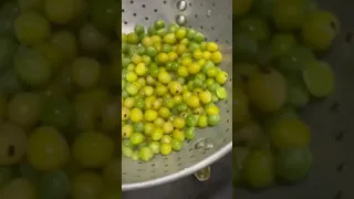 Compartiendo una rica cena con el profesor de sociales 🌳