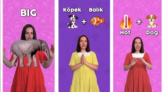Türkçe İngilizce (Zıt Kelimeler, Bileşik Kelimeler, Renkler, Hayvanlar) #türkçe #ingilizce #çocuk