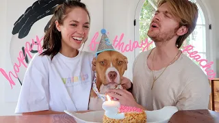 VLOG🤍 visiting chicago, therapy update, coyote drama & malibu weekend!