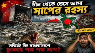 চীন থেকে ভেসে আসা সাপের রহস্য | সত্যিই কি বাংলাদেশে ঢুকেছে শত শত সাপ?