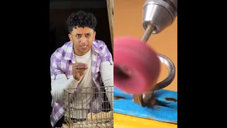 كلنا مش زي بعض قول الحمد لله #الكساحه