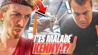 J'ai Ramené Un Chat Chez THEKAIRI - IL A PEUR DES CHATS