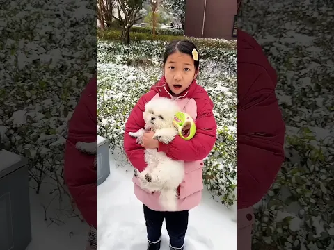 little dog froze in the cold #shorts #vairalshort