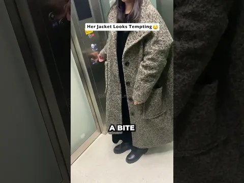 K9 Wasn't Being a Very Good Boy 🤣 (@thanhnee206)