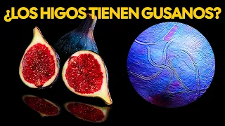¿Los HIGOS tienen GUSANO? | ¿Comemos AVISPAS MUERTAS?