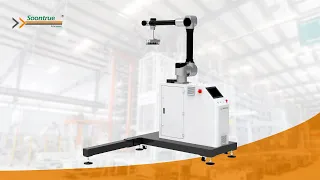 Soontrue Collaborative Palletizing Robot