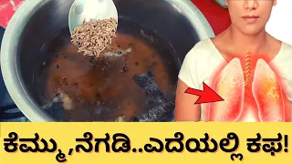 ಎದೆಯಲ್ಲಿ ಕಫ, ಕೆಮ್ಮು, ನೆಗಡಿಗೆ ಈ ಮನೆ ಮದ್ದು ತುಂಬಾ ಸಹಾಯಕಾರಿ । Cold & Cough Home Remedy kannada