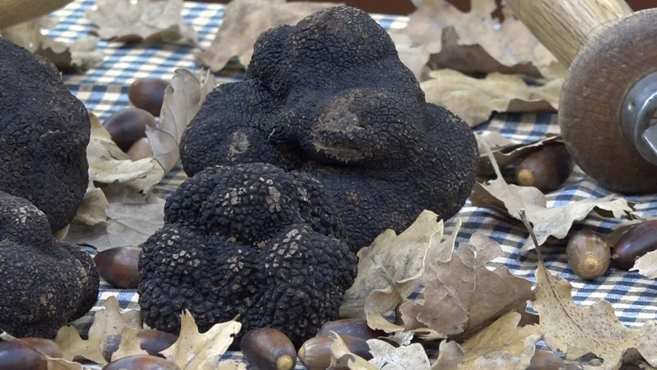 Centelles presenta una nova edició de la Fira de la Tòfona