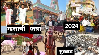 आम्ही सगळे गेलो म्हसाचा जत्रेला मुरबाड #aagrikoli