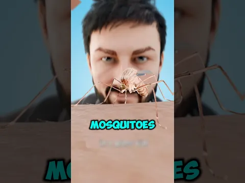 Don't Click on the SOUND #shorts