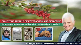 OÙ JE VOUS REPARLE DE L'EXTRAORDINAIRE  BERBÉRINE