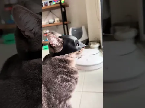 MIAUHHH