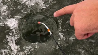 С ЖЕНОЙ в ПАЛАТКЕ ПОПАЛИ НА ЖОР! Зимняя рыбалка с женой