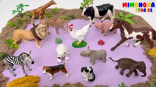¡Adivina el ANIMAL! 🐳🥚 Quien tiene RAYAS? 🐅 Quien tiene TROMPA? 🐘✨ Mimonona Stories