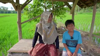UDIN BERBURU IKAN CUPANG